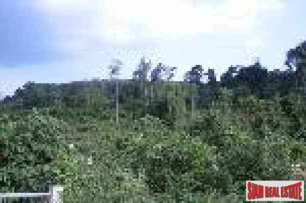 Prime Land in an Excellent Krabi Location - 34,780 Sq.m.-5