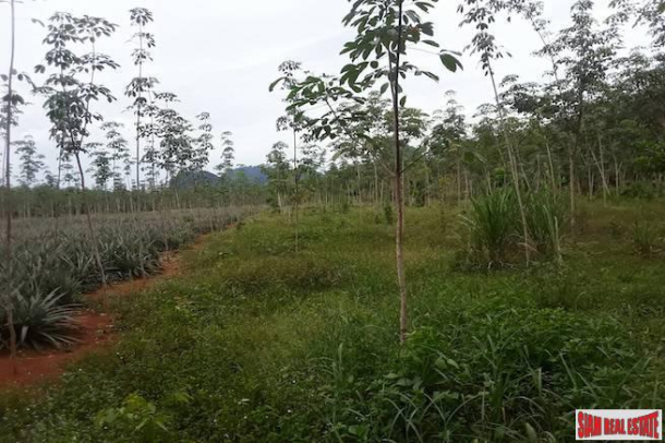 A 16 Rai Land Plot with Fantastic Mountain Views for Sale in Nong Talay-4