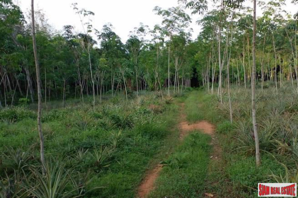A 16 Rai Land Plot with Fantastic Mountain Views for Sale in Nong Talay-5